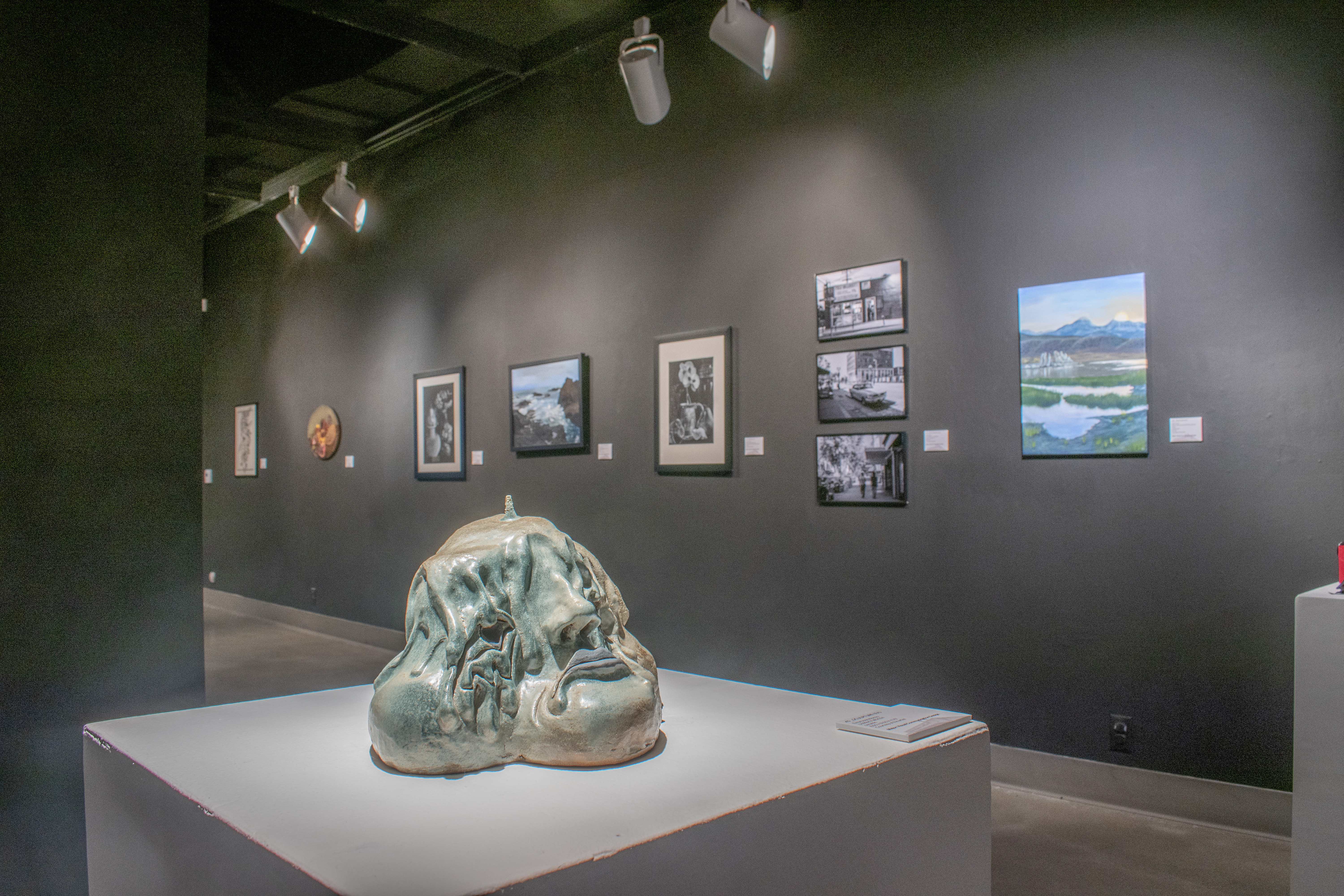 Back Gallery installation view